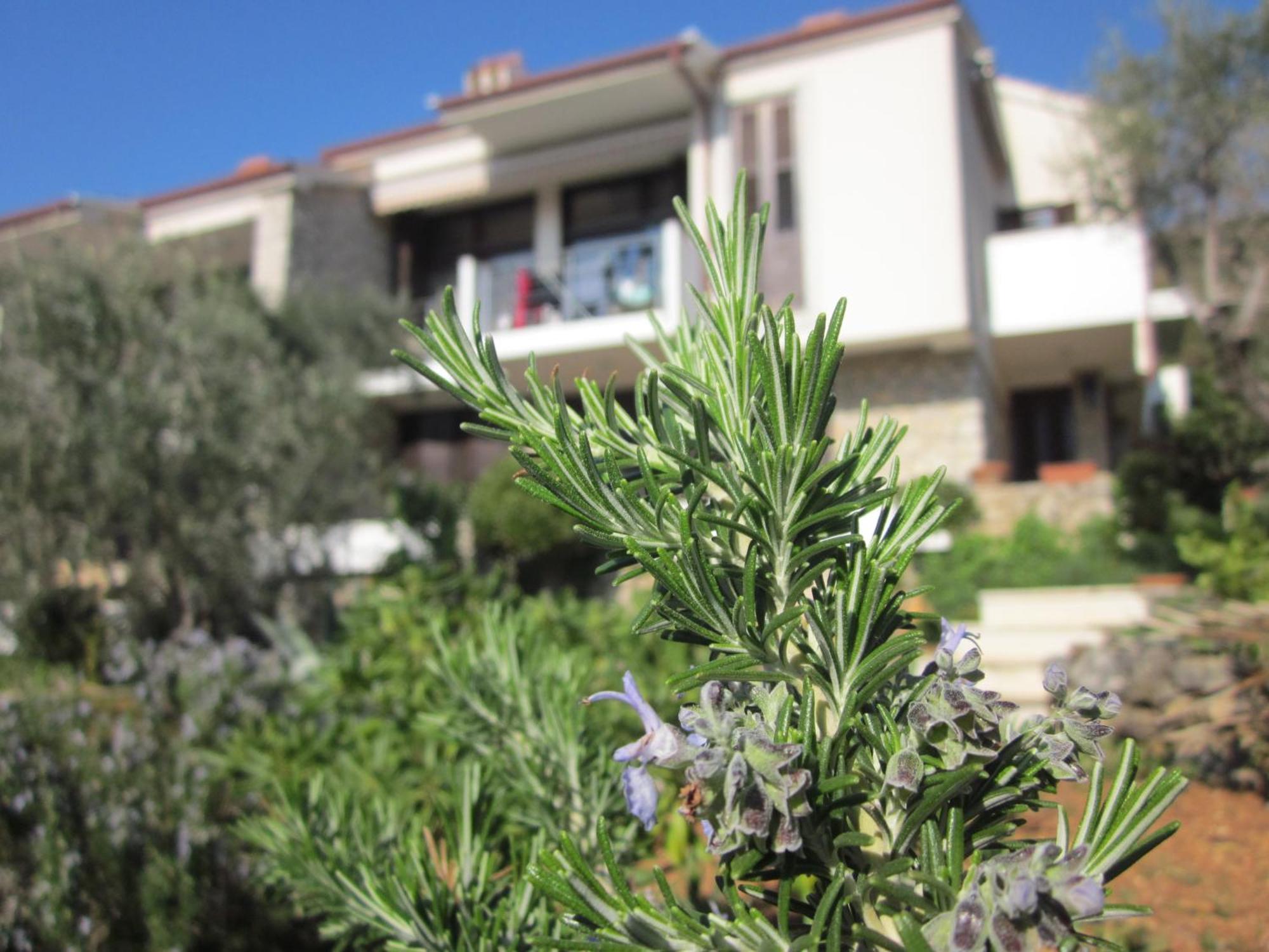 Apartments Palma & Pino Cres Exterior foto